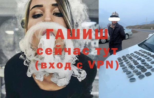 индика Волоколамск